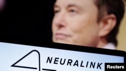 Ilustracija (Dado Ruvić, Reuters)