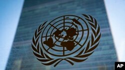 在纽约的联合国总部大楼和联合国标识