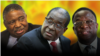 Gumbo: Mugabe Has Destroyed His Legacy, Alienated People