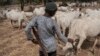 Six morts dans une vague de tueries inter-communautaires au Nigeria