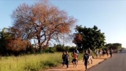 Crianças angolanas têm que estudar na RDC - 1:33