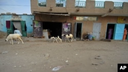 Rue de Nouakchott, 2008