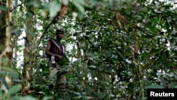 Un combattant FDLR dans l'est de la RDC