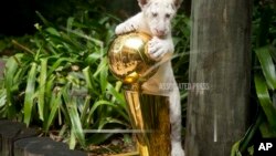 NBA Final 1