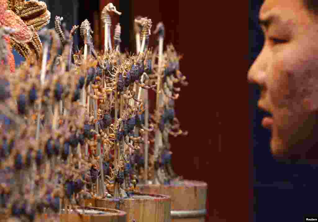 A man looks at sticks of deep-fried scorpions and seahorses at a food stall in Beijing, China.