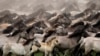 16x9 Image