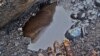 Lingering oil is apparent in shoreline sediments on Prince William Sound, Sept. 2013. (Credit: D. Janka)