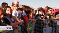 Kurdên Enqerê Yekîtîyê Dixwazin