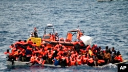 Migrant