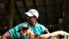 Goat farmer Mukit Hossain