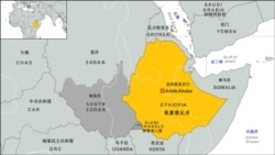 ዝተጨውዩ ህጻናት ንምምላስ ሰራዊት ኢትዮጵያ ደቡብ ሱዳን ምእታው ተፈሊጡ