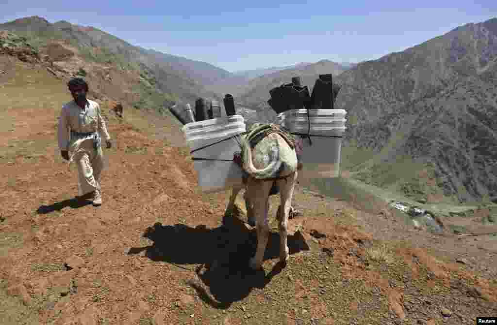 A man loads ballot boxes and other election material onto a donkey&nbsp;to be transported to polling stations not accessible by road, in Shutul, Panjshir province, June 13, 2014.&nbsp;