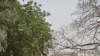 Bầu cử quốc hội ở Nigeria bị hoãn lại tại một số khu vực