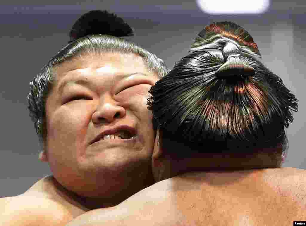 Sumo wrestlers compete during the annual 'Honozumo' ceremonial sumo tournament dedicated to the Yasukuni Shrine in Tokyo, Japan.