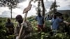 FILE - Health workers carry a coffin containing a victim of Ebola virus on May 16, 2019 in Butembo.