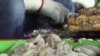 Thailand Seafood Industry Denies Links to Human Trafficking