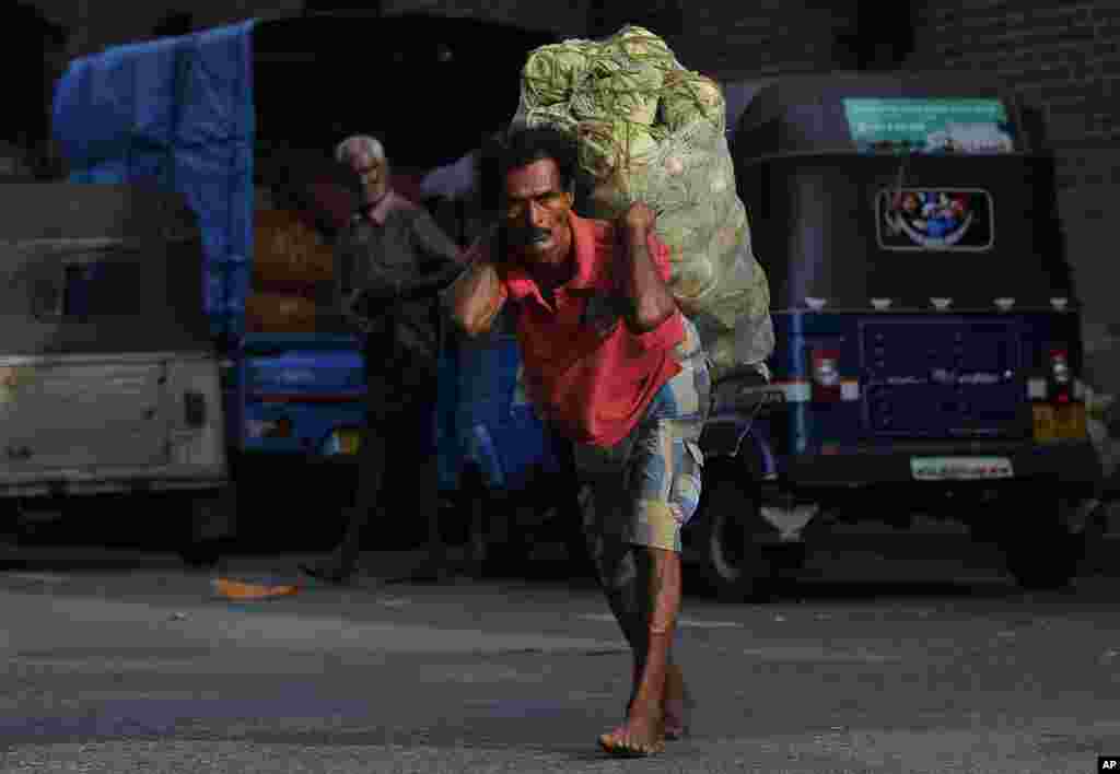 A Sri Lankan daily wage laborer carries a sack of cabbage on a street in Colombo.