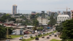 La mangrove gabonaise disparait au profit de projets immobiliers