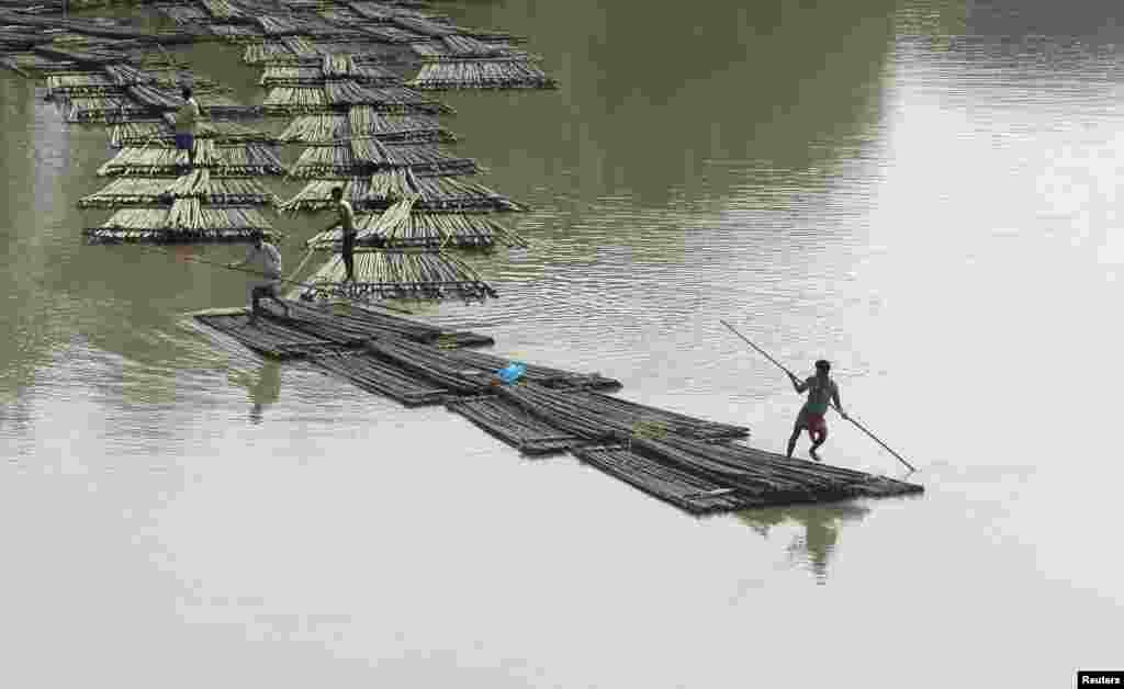 Bamboo logs are transported down the river Howrah near Chakmaghat village in the northeastern state of Tripura, India.