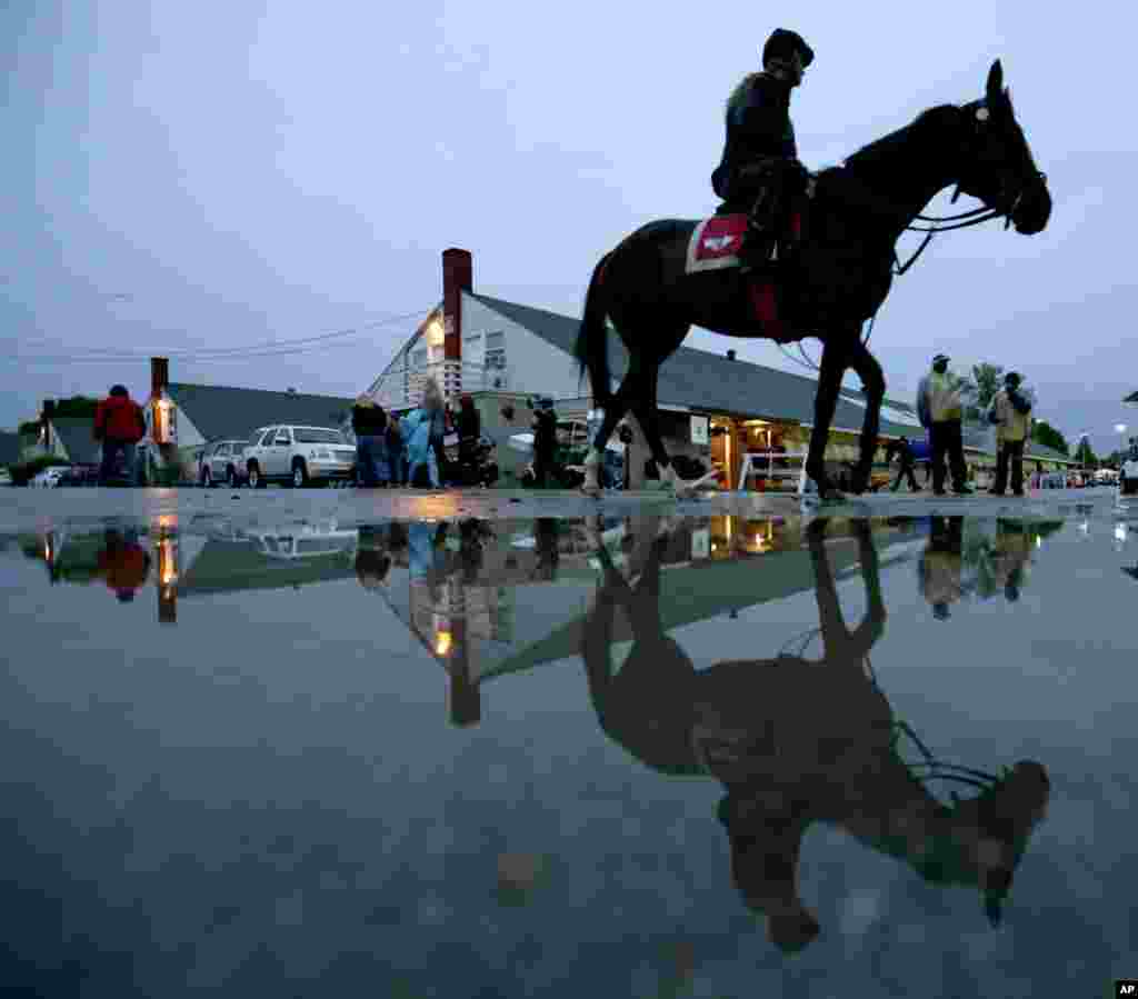 A horse is ridden to the track for a workout at Churchill Downs on in Louisville, Ky.